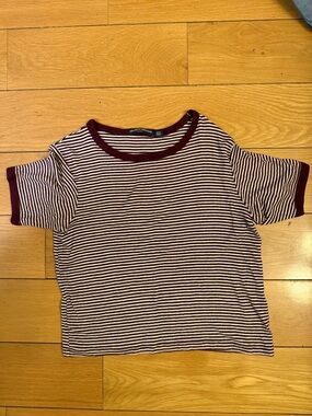 Brandy Melville white + burgundy striped crop top